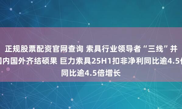 正规股票配资官网查询 索具行业领导者“三线”并进、国内国外齐结硕果 巨力索具25H1扣非净利同比逾4.5倍增长