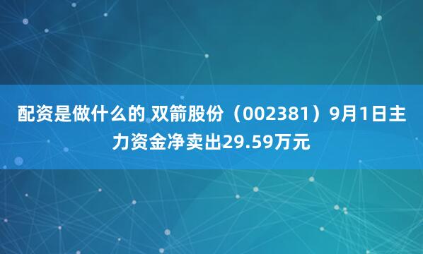 配资是做什么的 双箭股份（002381）9月1日主力资金净卖出29.59万元