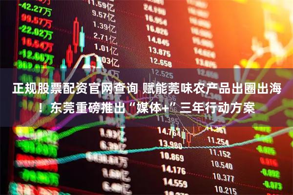 正规股票配资官网查询 赋能莞味农产品出圈出海！东莞重磅推出“媒体+”三年行动方案