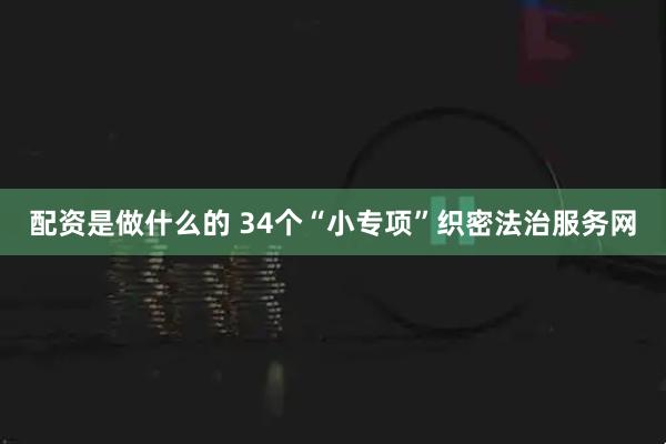 配资是做什么的 34个“小专项”织密法治服务网