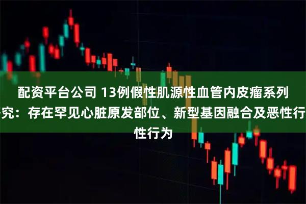配资平台公司 13例假性肌源性血管内皮瘤系列研究：存在罕见心脏原发部位、新型基因融合及恶性行为