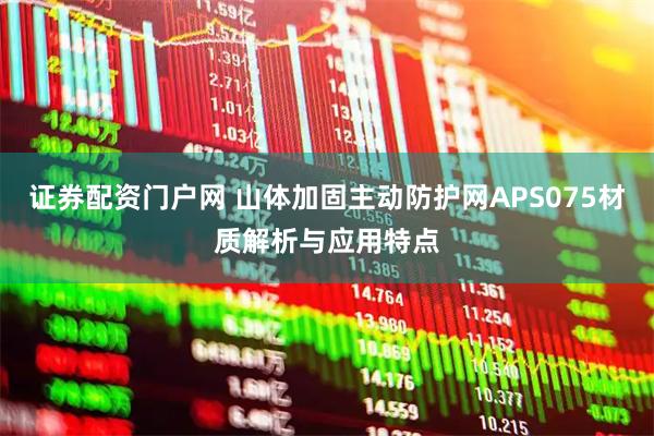 证券配资门户网 山体加固主动防护网APS075材质解析与应用特点