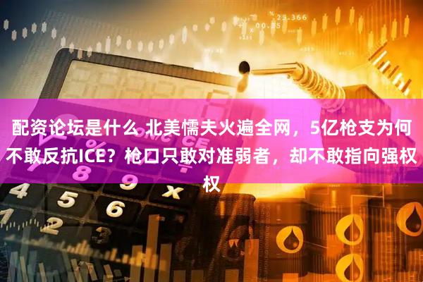 配资论坛是什么 北美懦夫火遍全网，5亿枪支为何不敢反抗ICE？枪口只敢对准弱者，却不敢指向强权
